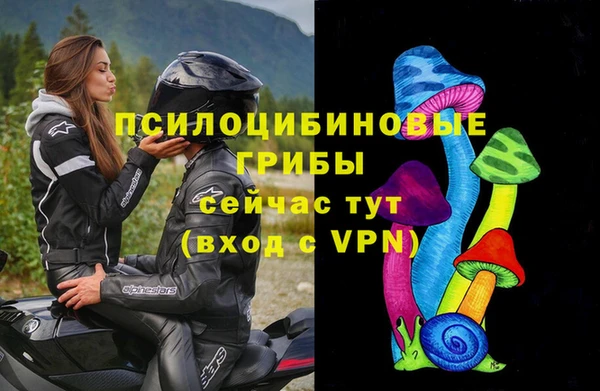 таблы Верея