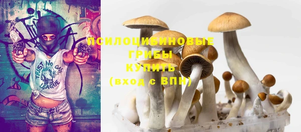 мет Верхний Тагил
