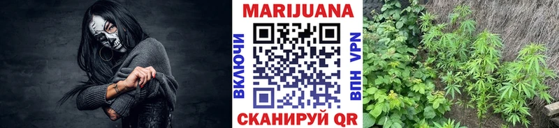 цена наркотик  Новоржев  МАРИХУАНА планчик 